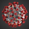 News and discussions about Coronavirus (Wuhan Virus, COVID-19)