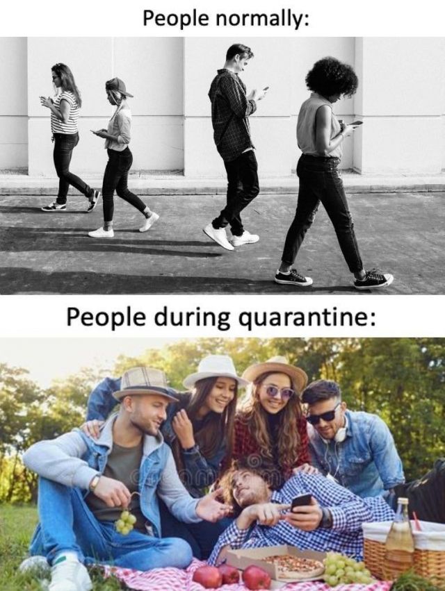 Funny quarantine meme