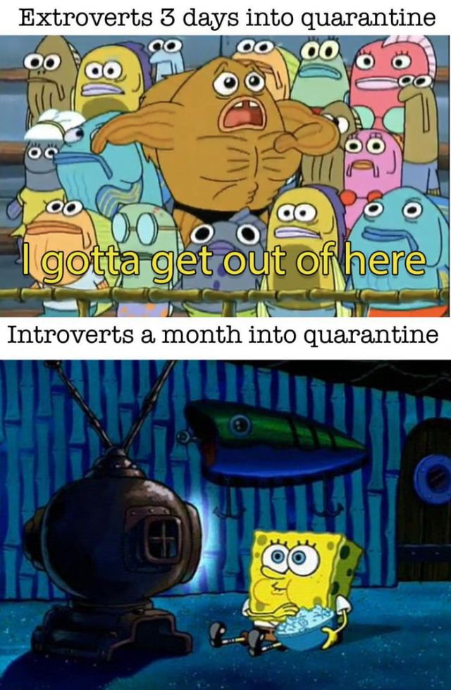 Extroverts vs introverts during quarantine meme