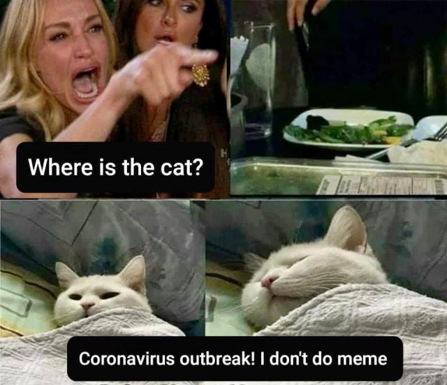 Featured image of post Funny Memes Best Woman Yelling At Cat Meme - However, if you&#039;d really like to, you can remove our watermark from all images you create, as well as.
