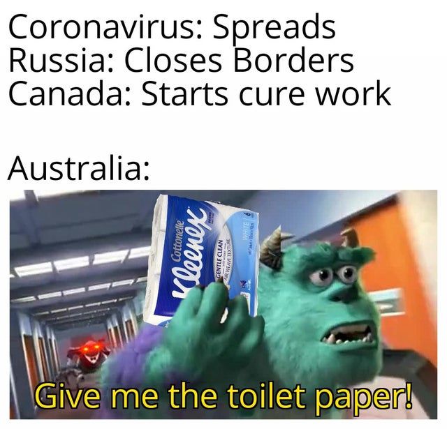 Coronavirus toilet paper