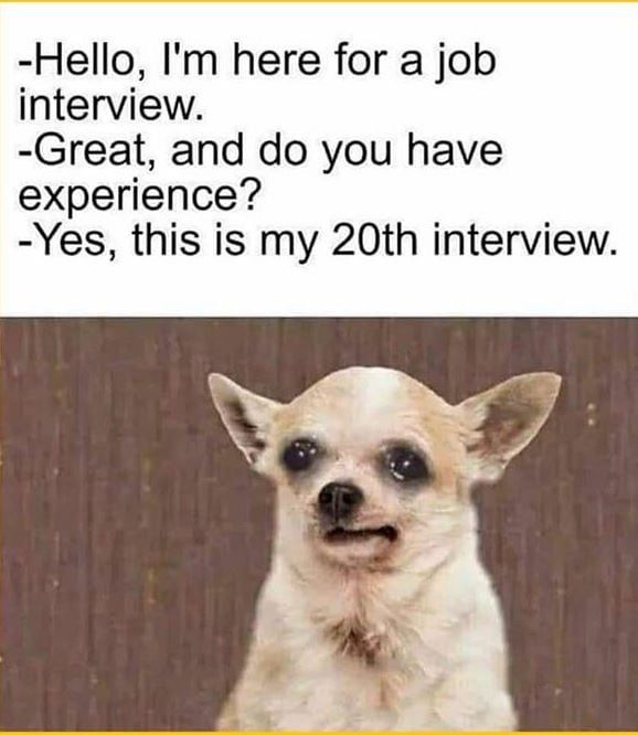 Experience In Interview