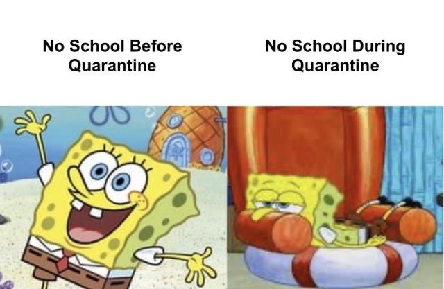 No School During Quarantine Meme