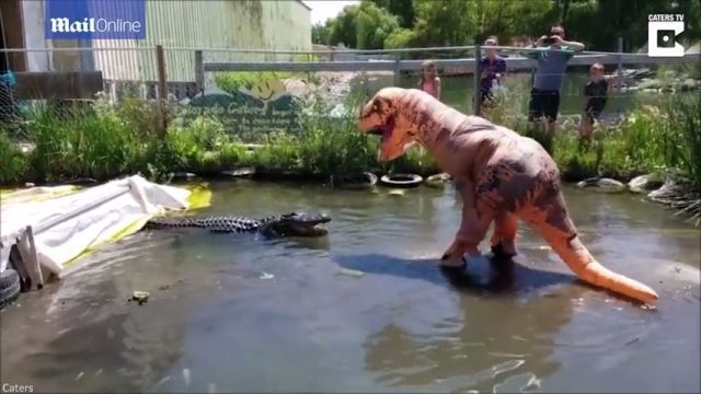 Dinosaur vs crocodile, Dinosaur, Crocodile, Animal