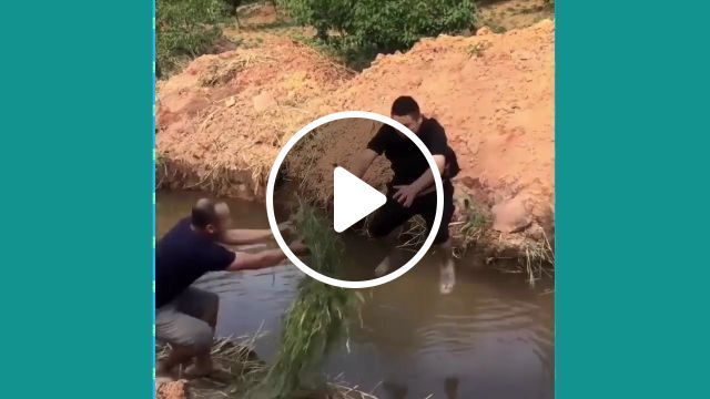 Jumping Through The Stream Is Not Difficult, But.... Prank. Funny. Friend. Jump. #0