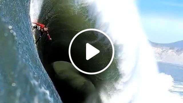 Try Surfing This Summer - Video & GIFs | surfing, surf board, sea, summer, wave, funny