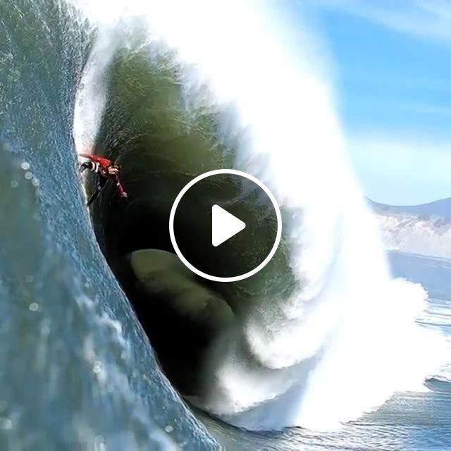 Try Surfing This Summer - Video & GIFs | surfing, surf board, sea, summer, wave, funny