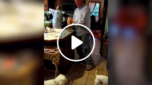 Come On, Let Me Help You Open That Bottle Cap - Video & GIFs | dog, pet, smart, jumping