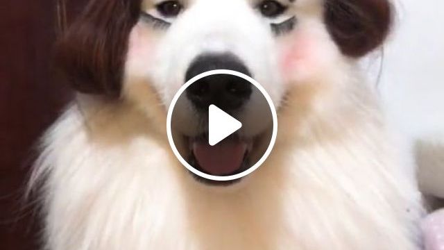 I Think She Just Likes Her First Hairstyle, Lol - Video & GIFs | doh, pet, makeup, hairstyle