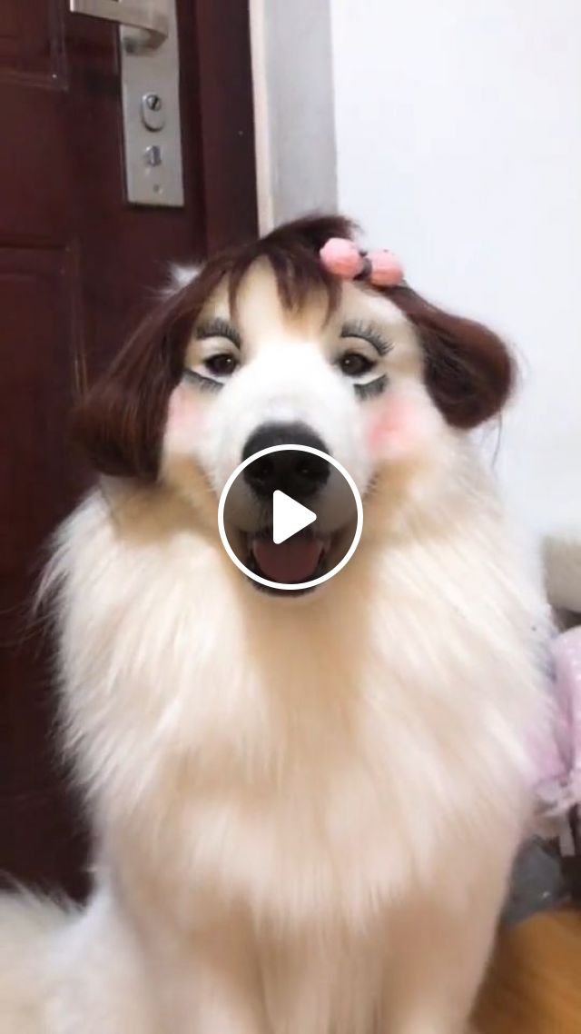 I Think She Just Likes Her First Hairstyle, Lol - Video & GIFs | doh, pet, makeup, hairstyle