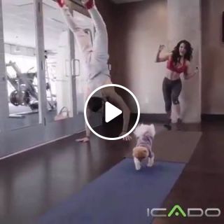 Fitness exercise with cute dog