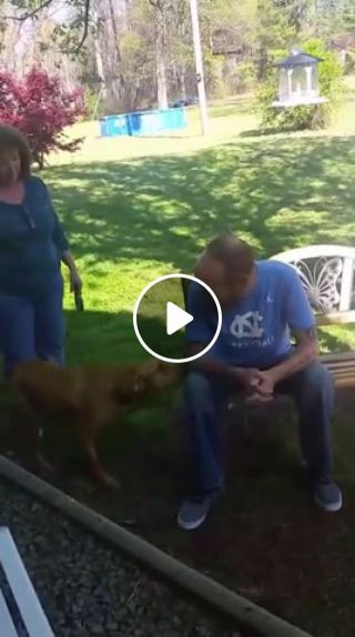 Dog doesn't recognize owner until he sniffs him