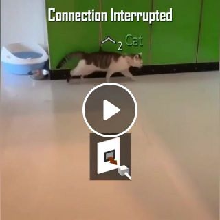 Connection interrupted