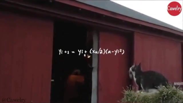Jump calculation - Video & GIFs | cat,cats,jump,fail,funny,animals pets