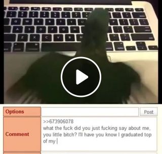 Bird typing with 300 wpm