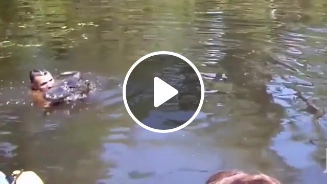 Do not try this at home, nature, gator man, animals, animals pets. #0