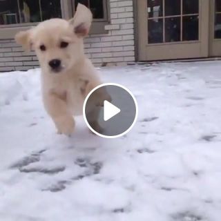 First time in snow