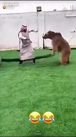 Bear dance inshallah, mini cooper, fight, neuromonakh feofan, neuromonakh, dancing with a bear, and now the bear sings, feofan, bear, chase, dance, cooper, mini, islam, muslim, animals pets.