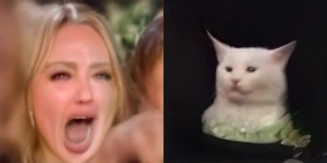 DeepKek - Video & GIFs | deepfake,cat,neural network,gan,deep neural networks,confused cat at dinner,cat table,woman yelling at a cat,missingegirl,smudge the cat,meme,2shaddy,shake that,glue70 casin remix,animals pets