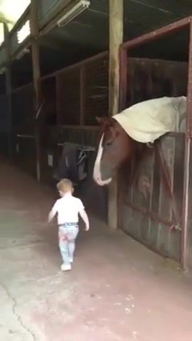 Horses. Love. Horse. Life. Children. Friendship. Magic. Amazing. Wtf. Wow. Omg. Lol. Animals Pets.