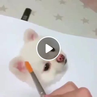 How to draw a cute teacup dog