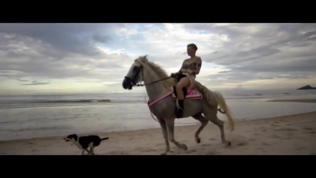 Beach riding, horse, thailand, hua hin, blackmagic ursa mini 4 6k, blackmagic, beach, horse riding, dog, deadwood, girl, woman, bad, animals pets.