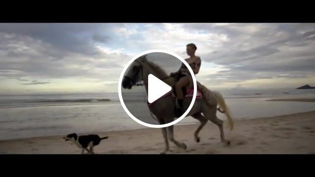 Beach riding, horse, thailand, hua hin, blackmagic ursa mini 4 6k, blackmagic, beach, horse riding, dog, deadwood, girl, woman, bad, animals pets. #0