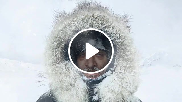 Another world, 70 c, survival, lost in the snow, north, music, real man, real, winter, hot, amazing, low temperature, life, living photos, living photo, cinemagraph, cinemagraphs, planet, snowfall, snow, nature, expedition, the science, science, loop, perfect loop, nature travel. #0