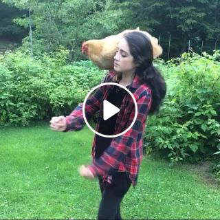 Dancing with a chicken