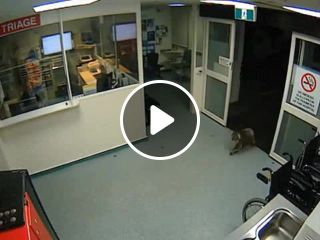 Night shift arrives at an Australian hospital