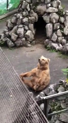 Oooooooooooommmmmmmmmmmmm, bear, zoo, meditating, throat singing, tuvan, animals pets.
