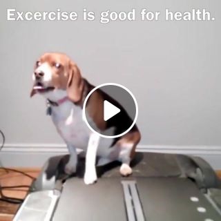 Exercise is good for health