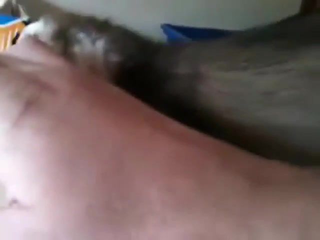 Ferret introduces owner to her newborn babies. this is so sweet, animals pets.