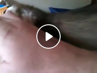 Ferret introduces owner to her newborn babies. This is so sweet