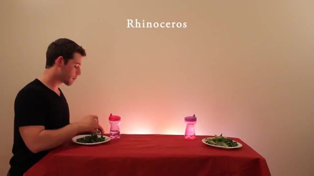 How Animals Eat Their Food