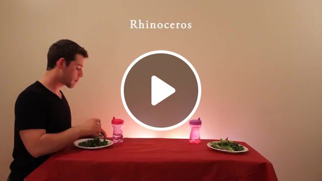 How animals eat their food, epic pranks, how to, college, mister epic mann, whale, epic films, epic man, prank calls, brief moments, t rex, quick films, epic guy, sketches, lizard, the most epic pranks, flamingo, dorm room, m e m, short films, one of kind, pranks, misterepicmann, lost light films, top pranks, nick sjolinder, epic mann, epic, misterepicman, pushing the limit, alligator, rhino, how animals eat their food, epic dood, best pranks, mr epic mann, animals pets. #0