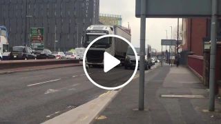 Swan Disrupting Traffic In Manchester