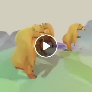 Funny bears