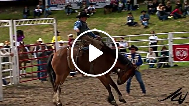 Rodeo, rodeo, horse, cowboy, mustangs, animals pets. #0