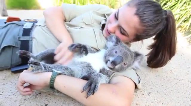 Belly Tickles Cmon Smile - Video & GIFs | eleprimer,memes,cool,wow,girl,animals,animals pets