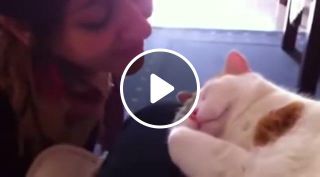 Cat meows when kissed