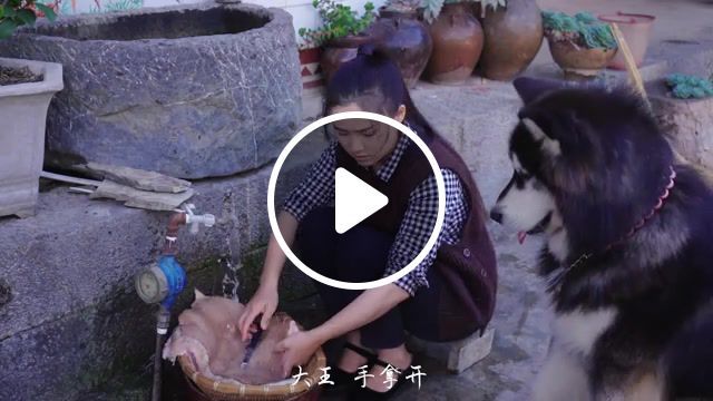 Keep your hands off, yunnan little brother, ms dianx, din t^ay tiu ca, yunnan, yunnan food, country food, dianxixiaoge, sour meat, animals pets. #0