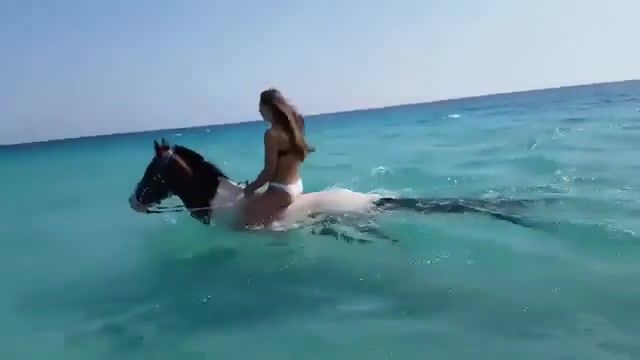 Riders in the ocean, horse, horses, sea, girl girls, ocean, swimming, horse swimming, awesome, riders on the storm, nature, travel, animals pets.