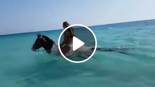 Riders in the ocean, horse, horses, sea, girl girls, ocean, swimming, horse swimming, awesome, riders on the storm, nature, travel, animals pets. #0