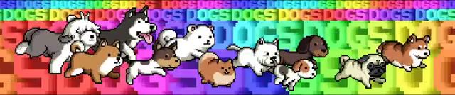 Funny dogs, Chiptune, Music, Dogs, Dog, Animals Pets