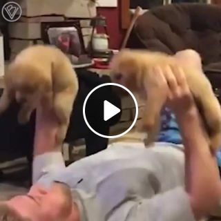 Puppy training