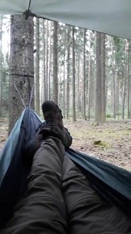 Chill in the forest, chill, czechforest, forest, bushcraft, nature travel.
