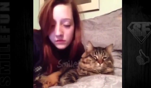 Girl and Cat, Funny Cats, Jokes With Cats, Cats, Cats Jokes, Jokes About Cats