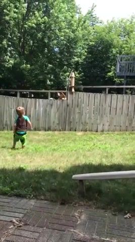 A fence can not stop my two year old from playing with his new best friend, Animals Pets