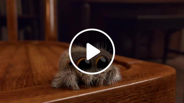 Lucas, meet plate, funny, death, lucas the spider, spider, vfx, 3d, animation, 3d animation, animals pets. #0